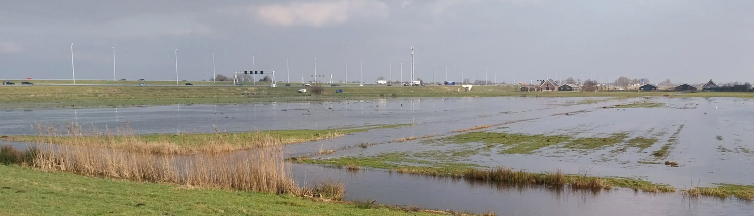 Liniebureau__0005_innundatie-wierickes